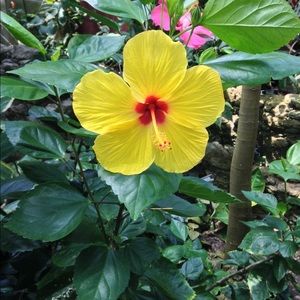 Meet your Posher, Salma